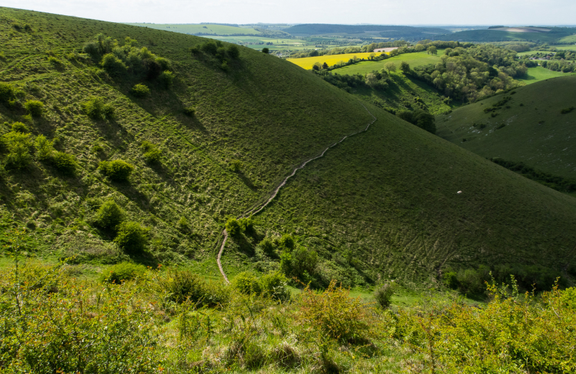 South Downs National Park